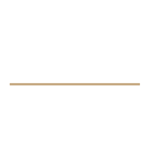 Schynaider Gastronomia